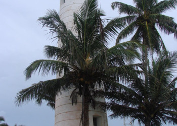 Галле, Шри-Ланка, фото № 50887 – фотографии Шри-Ланки