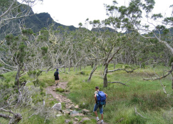 Салази, Реюньон, фото № 25805 – фотографии Реюньона