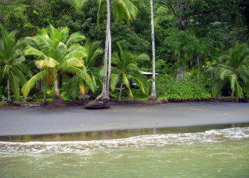 Гольфито, Пунтаренас провинция, Коста-Рика, фото № 40412 – фотографии Коста-Рики