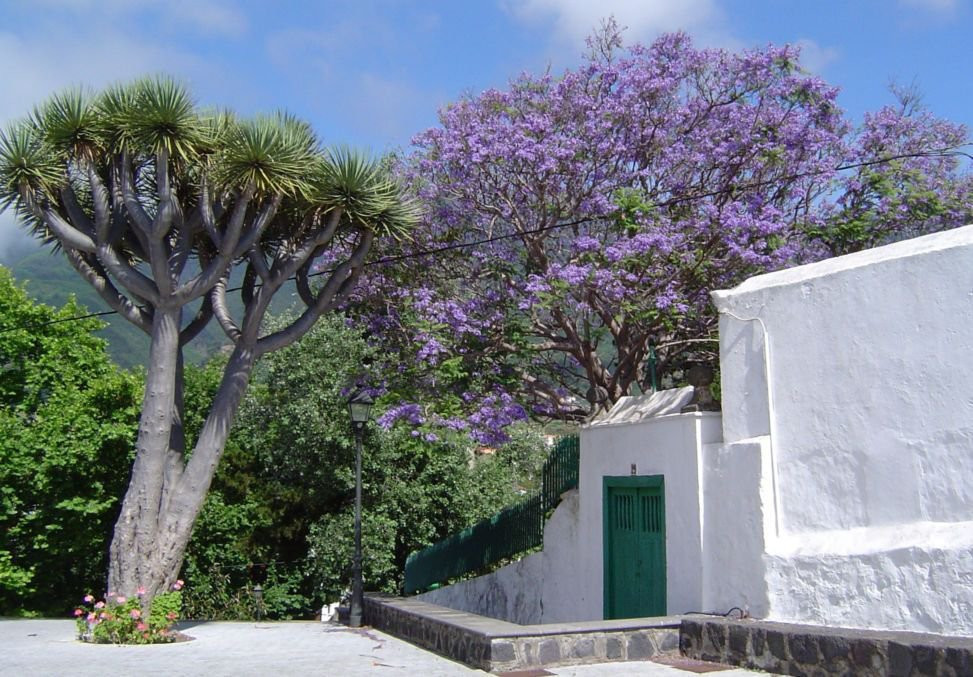 Брения-Альта, Ла-Пальма остров, Канарские острова, фото № 31825 – фотографии Канарских островов