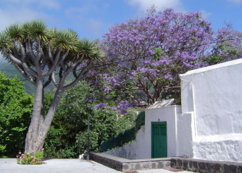 Брения-Альта, Ла-Пальма остров, Канарские острова, фото № 31825 – фотографии Канарских островов