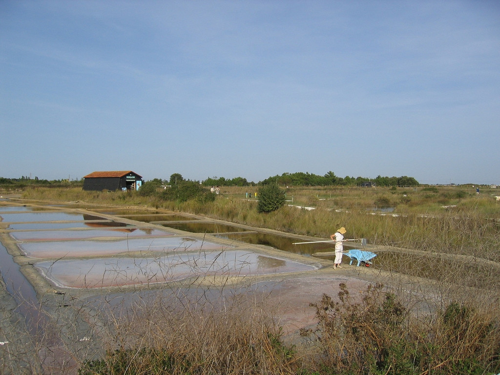 Остров Олерон, Франция. Фото 12 – фотографии Франции