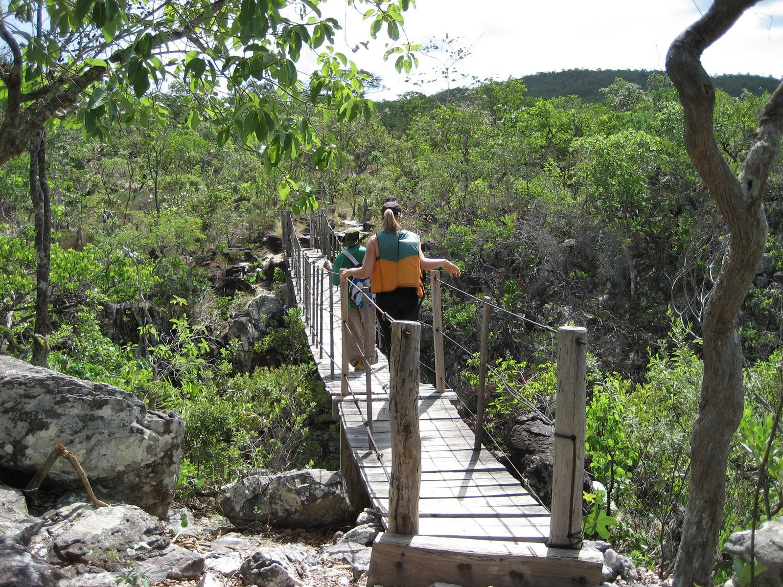 Шапада-дус-Веадейрус Национальный Парк, Бразилия, фото № 60571 – фотографии Бразилии