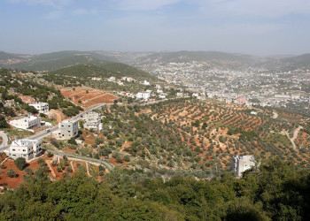 Аджлун, Иордания, фото № 35954 – фотографии Иордании