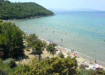 Кушадасы, Эгейский регион, Турция, фото № 47878 – фотографии Турции