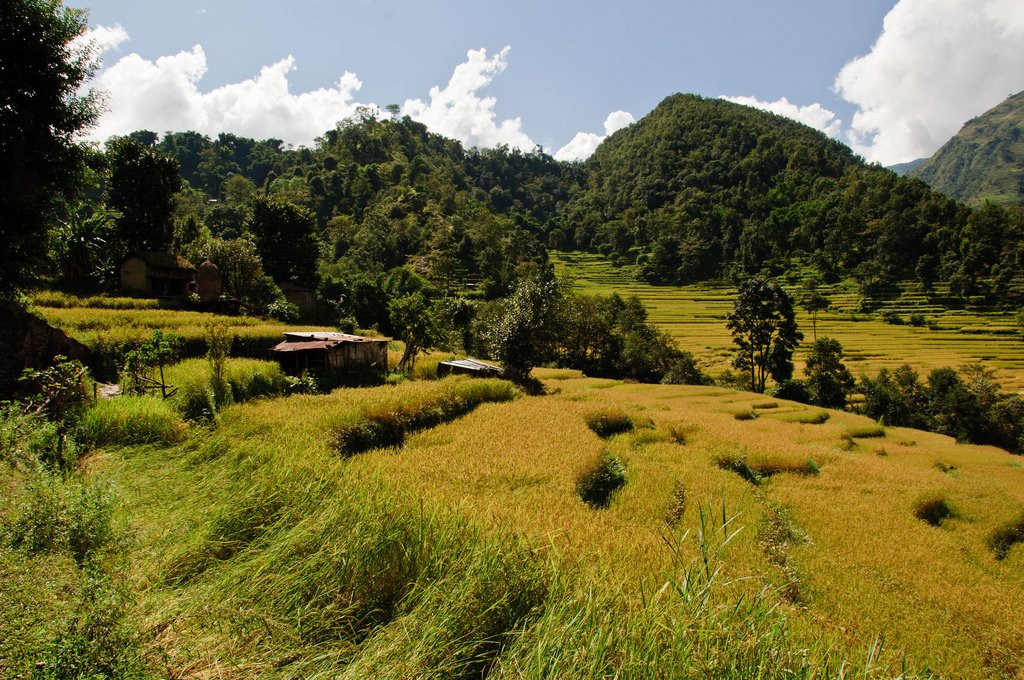 Аннапурна заповедник, Непал, фото № 78887 – фотографии Непала
