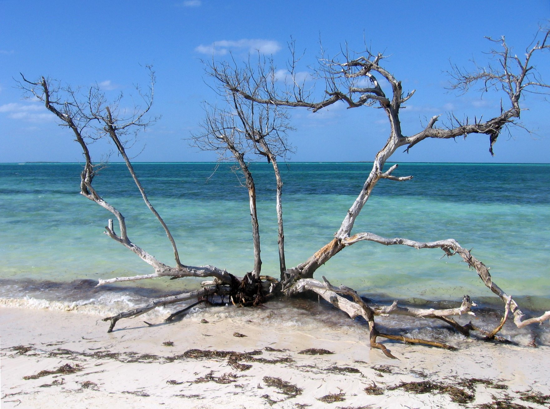Пляж в Кайо-Гильермо, Куба. Фото 11 – фотографии Кубы