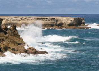 Cove Bay, North Coast, Barbados – фотографии Барбадоса