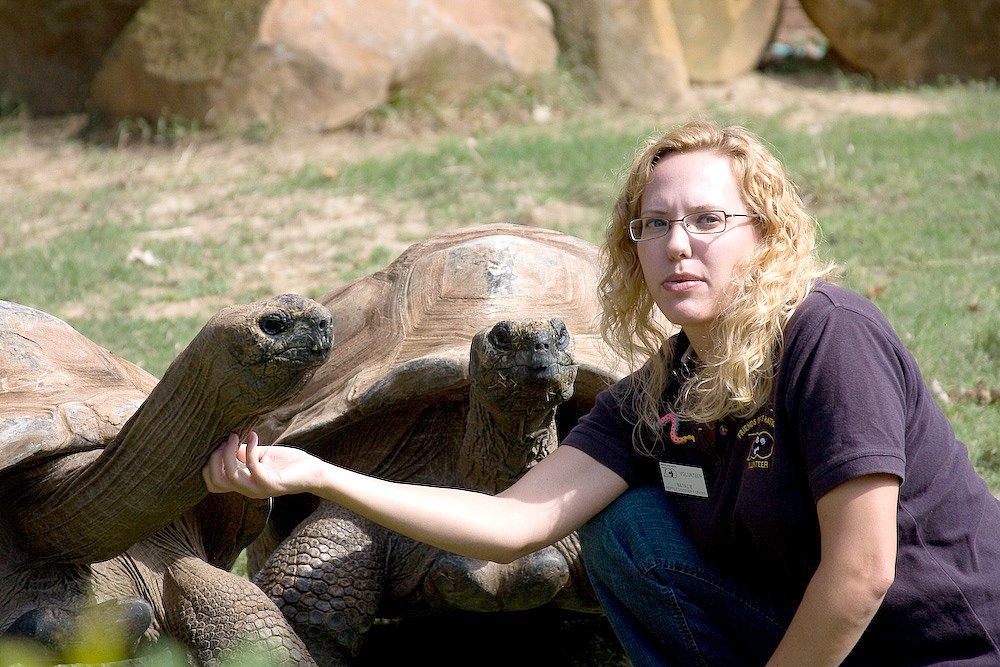 Огромные черепахи на Альдабре – фотографии Сейшельских островов