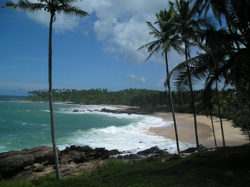 Тангалле, Шри-Ланка, фото № 52358 – фотографии Шри-Ланки