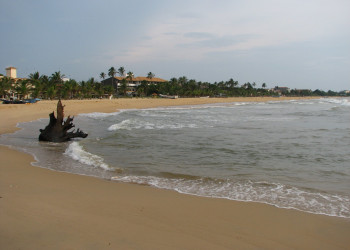 Негомбо, Шри-Ланка, фото № 51949 – фотографии Шри-Ланки