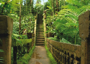 Приключенческий парк Паронелла в Австралии – фотографии Австралии