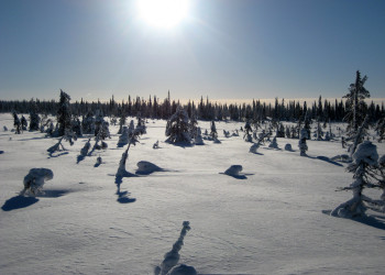 Салла, Финляндия, фото № 75093 – фотографии Финляндии