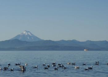 Море в Петропавловск-Камчатский, Россия – фотографии России