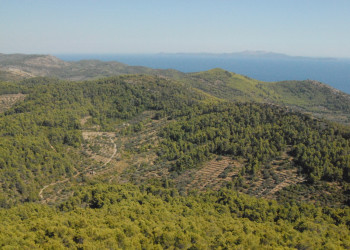 Природа на острове Корчула, Хорватия. Фото 2 – фотографии Хорватии