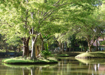 Хабарана, Шри-Ланка, фото № 52477 – фотографии Шри-Ланки