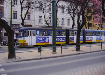 Сегед, Венгрия, фото № 70543 – фотографии Венгрии