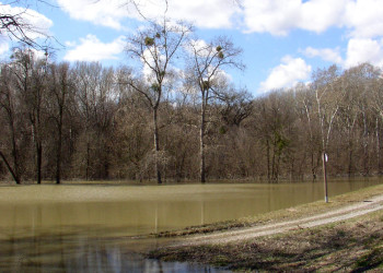 Национальный парк Донау-Ауэн в Нижней Австрии – фотографии Австрии