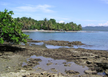 Пуэрто Вьехо, Лимон провинция, Коста-Рика, фото № 40200 – фотографии Коста-Рики