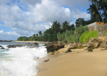 Тангалле, Шри-Ланка, фото № 52344 – фотографии Шри-Ланки