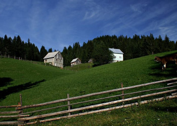 Деревня в Дурмитор, Черногория. Фото 9 – фотографии Черногории