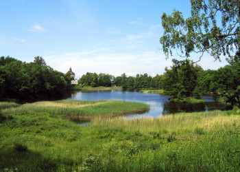 Природа в Ломоносова, Россия – фотографии России