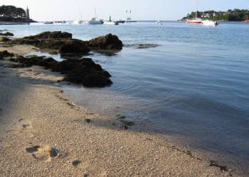 Море в Беноде, Франция – фотографии Франции