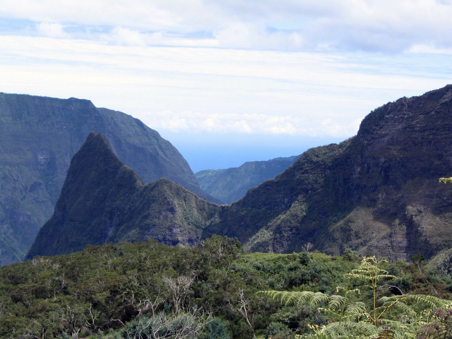 Салази, Реюньон, фото № 25803 – фотографии Реюньона