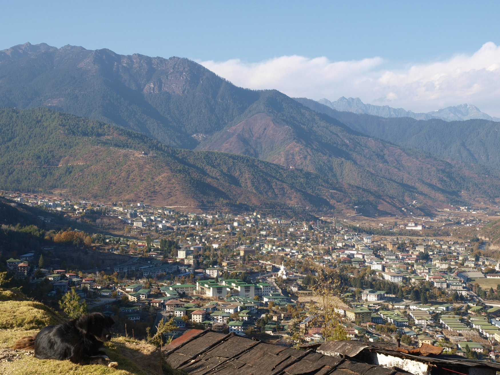 Тхимпху, Бутан, фото № 75831 – фотографии Бутана
