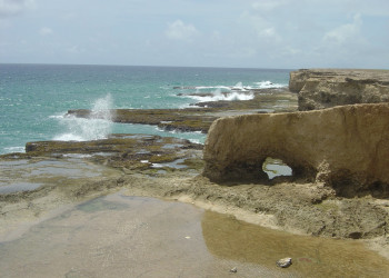 Северное побережье, Барбадос – фотографии Барбадоса