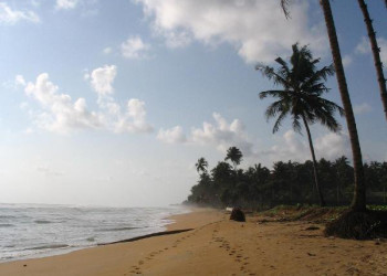 Ваддува, Шри-Ланка, фото № 50806 – фотографии Шри-Ланки