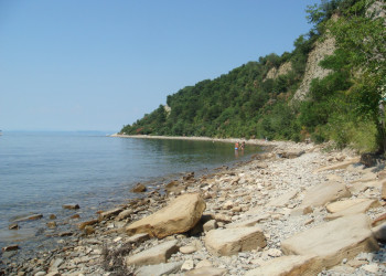 Струньян, Словения, фото № 57572 – фотографии Словении