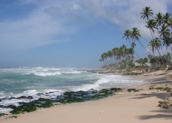 Коггала, Шри-Ланка, фото № 51548 – фотографии Шри-Ланки