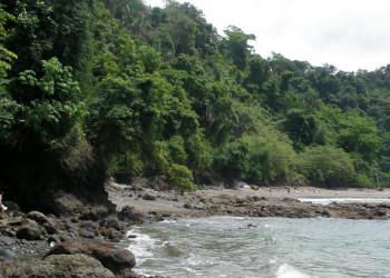 Мануэль Антонио, Пунтаренас провинция, Коста-Рика, фото № 40619 – фотографии Коста-Рики