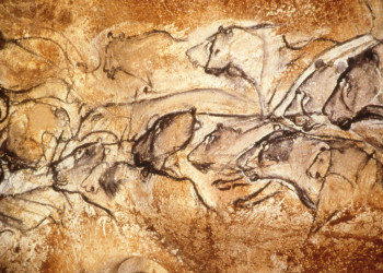 Пещера Шове в Авиньон, Франция – фотографии Франции