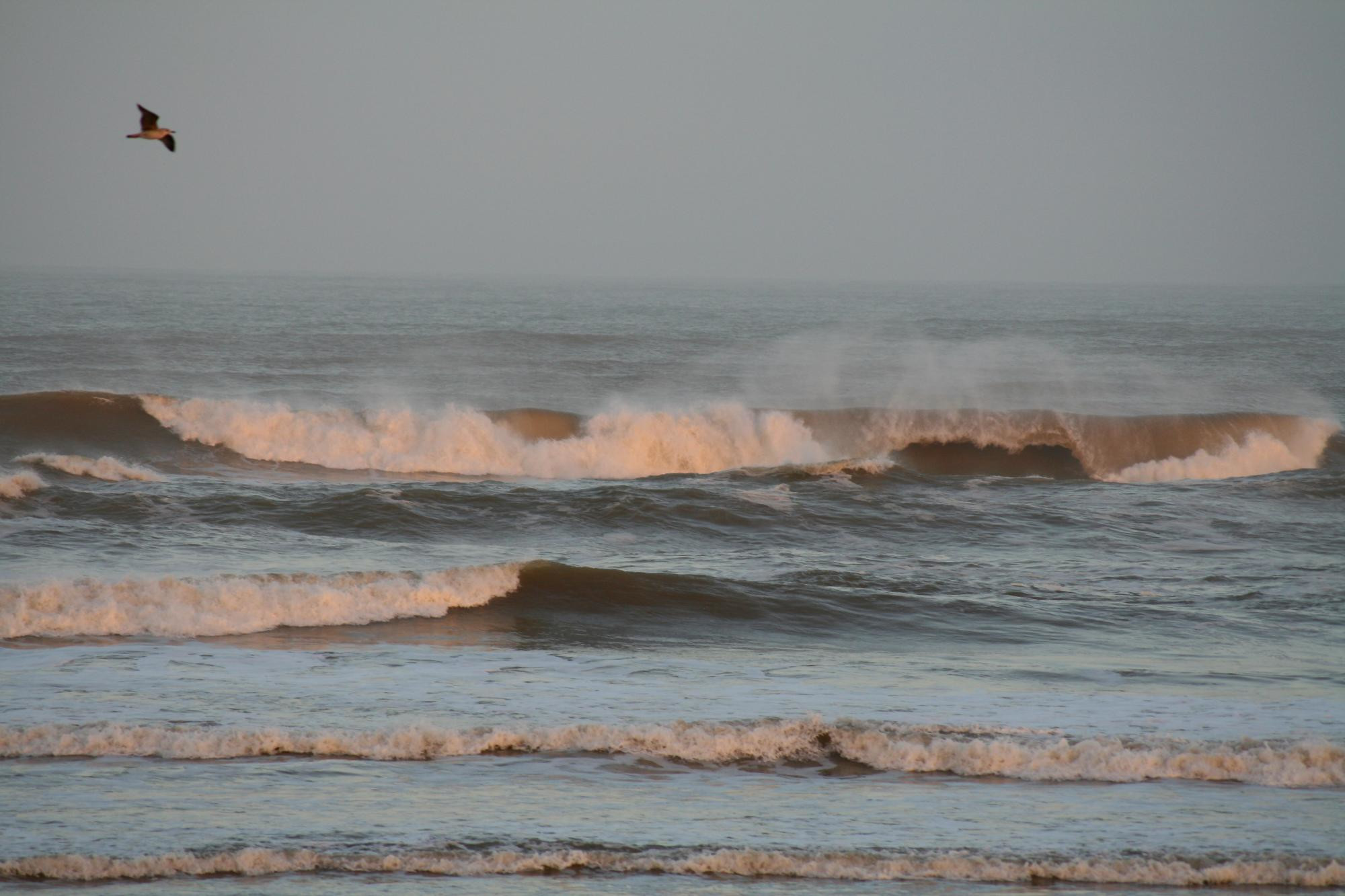 Марокко, фото № 204 – фотографии Марокко