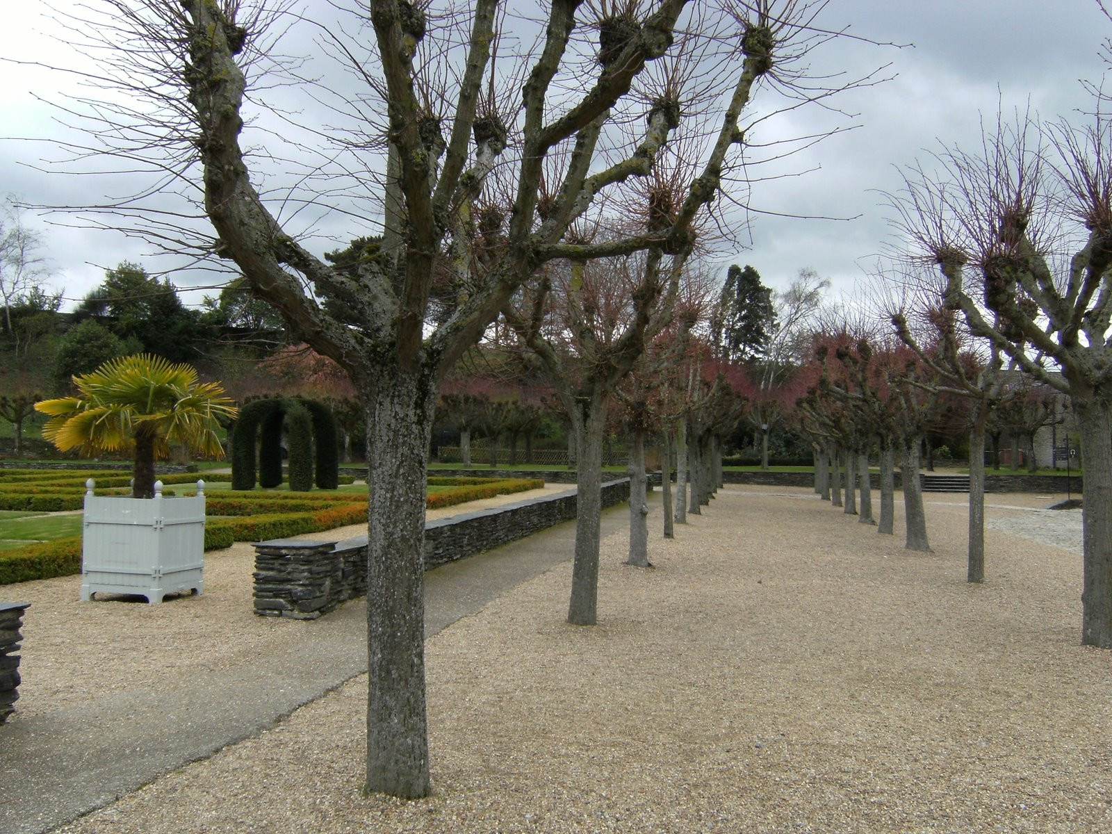 Парк в Анже, Франция. Фото 4 – фотографии Франции