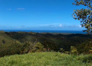 Самана, Доминикана, фото № 30642 – фотографии Доминиканы