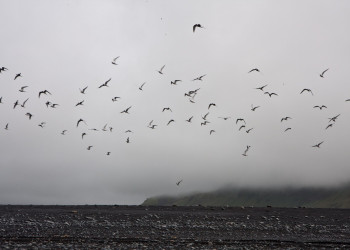 Исландия, фото № 4444 – фотографии Исландии