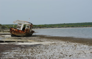 Берега в Рэджед Айленд, Багамские острова – фотографии Багамских островов