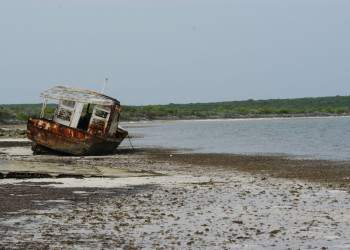 Берега в Рэджед Айленд, Багамские острова – фотографии Багамских островов