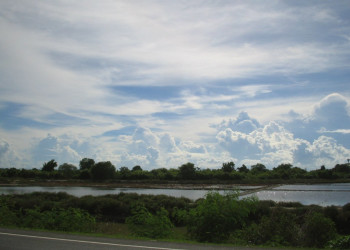 Природа в Ча-Ам, Тайланд – фотографии Таиланда