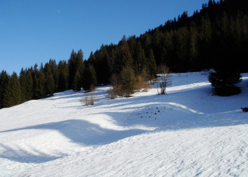 Природа в Шатель, Франция. Фото 6 – фотографии Франции