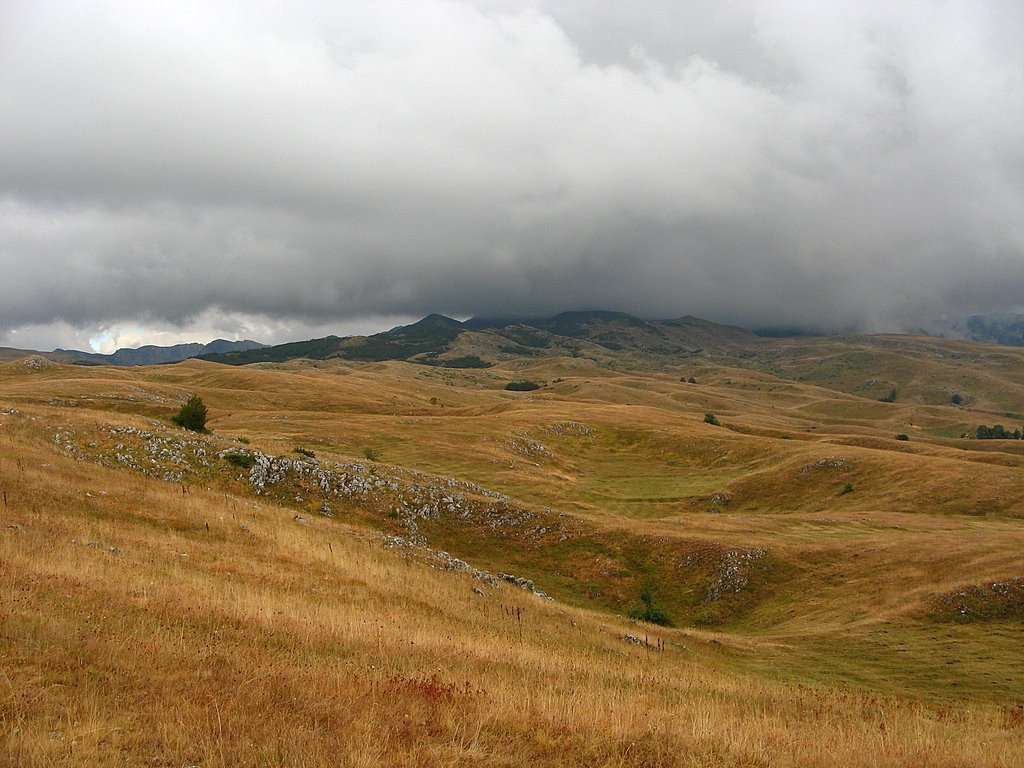 Поле в Черногория. Фото 1 – фотографии Черногории