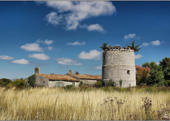 Олерон остров, Новая Аквитания, Франция, фото № 16019 – фотографии Франции