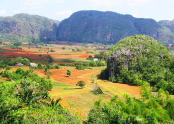 Поля в Пинар дель Рио провинция, Куба. Фото 4 – фотографии Кубы