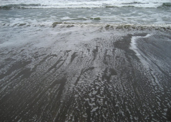 Ислита, Гуанакасте провинция, Коста-Рика, фото № 39383 – фотографии Коста-Рики