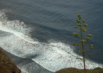 Пунтальяна, Ла-Пальма остров, Канарские острова, фото № 32008 – фотографии Канарских островов