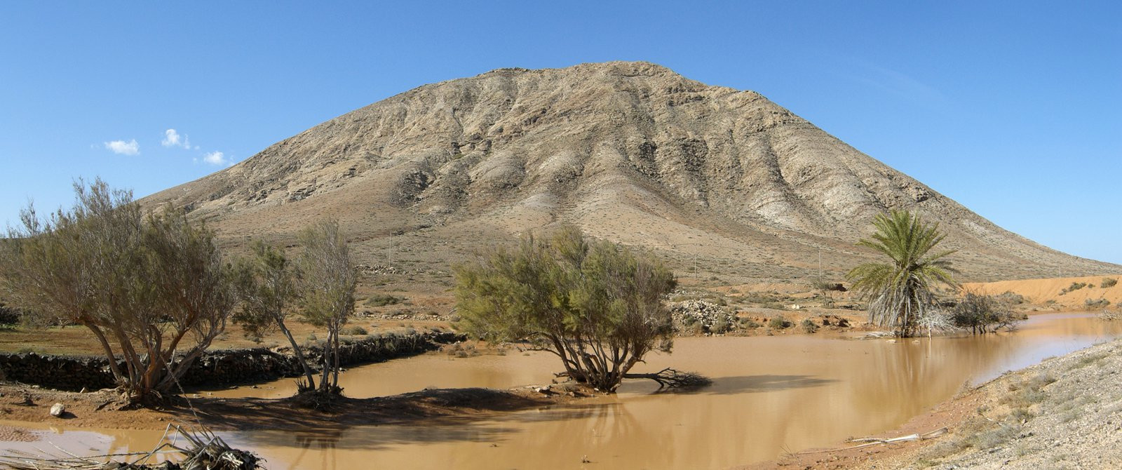 Тиндайя, Фуэртевентура остров, Канарские острова, фото № 34451 – фотографии Канарских островов