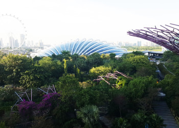 Парк Gardens by the Bay в районе Marina Sands – фотографии Сингапура